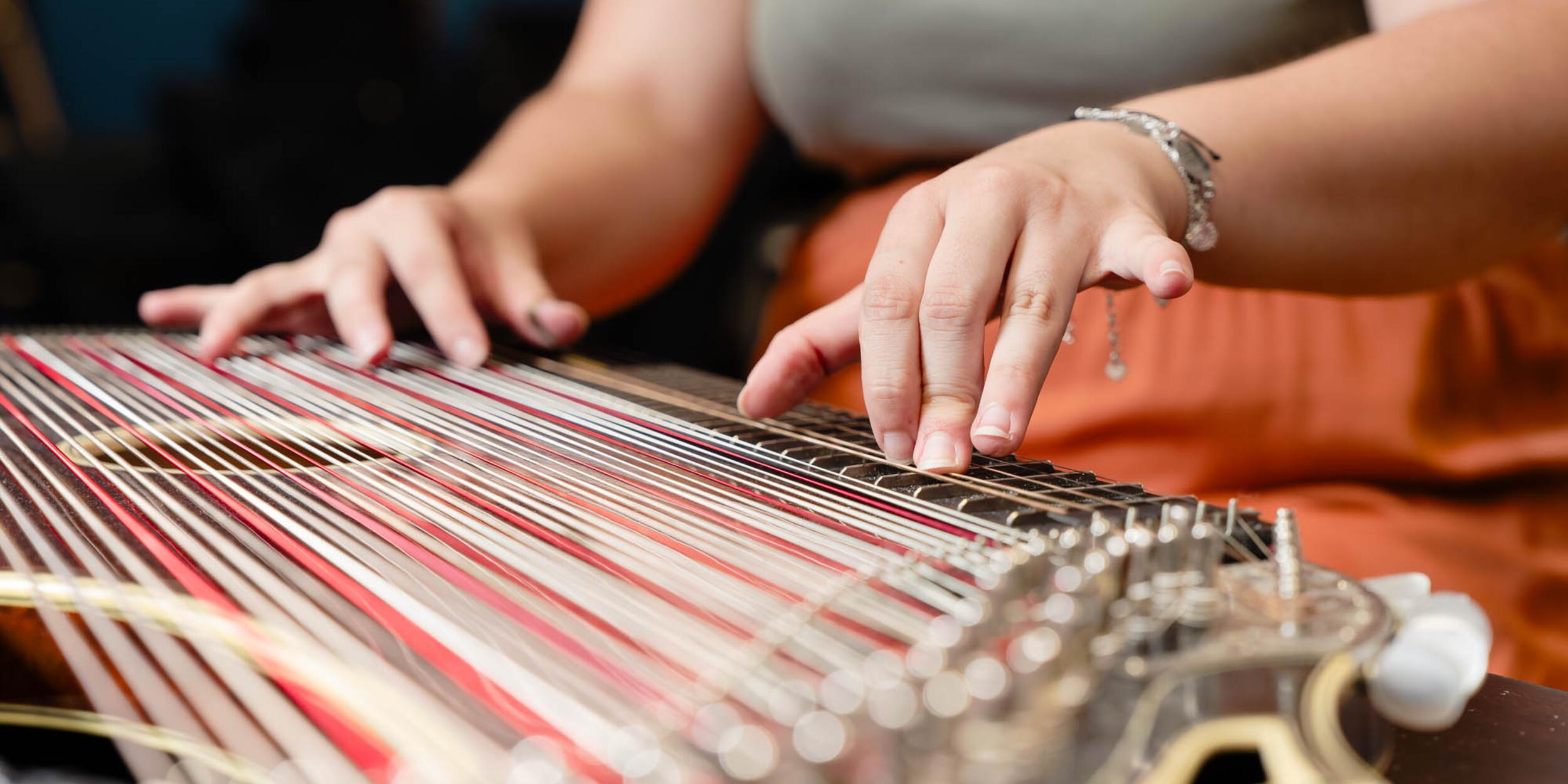 Zither | © Michael Klimt Zither | © Michael Klimt